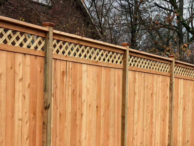 Deck and Fence Staining